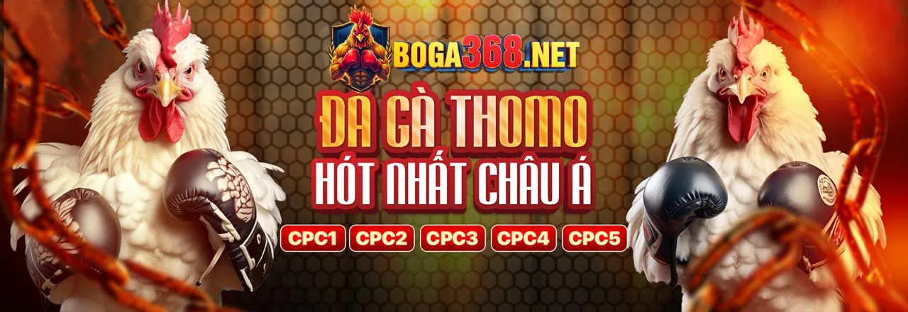 Hình ảnh đá gà trực tuyến kịch tính tại vt88 win