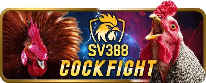 Hoàn trả thể thao vt88 win
